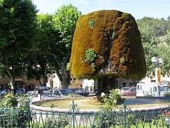 183 D32 BARJOLS_000010